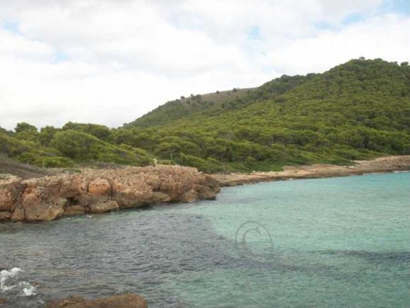 Еще раз о Майорке — Туризм и путешествия: фотоотчеты из поездок