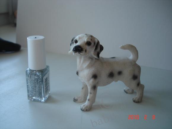 Вот такие собачки живут у меня дома