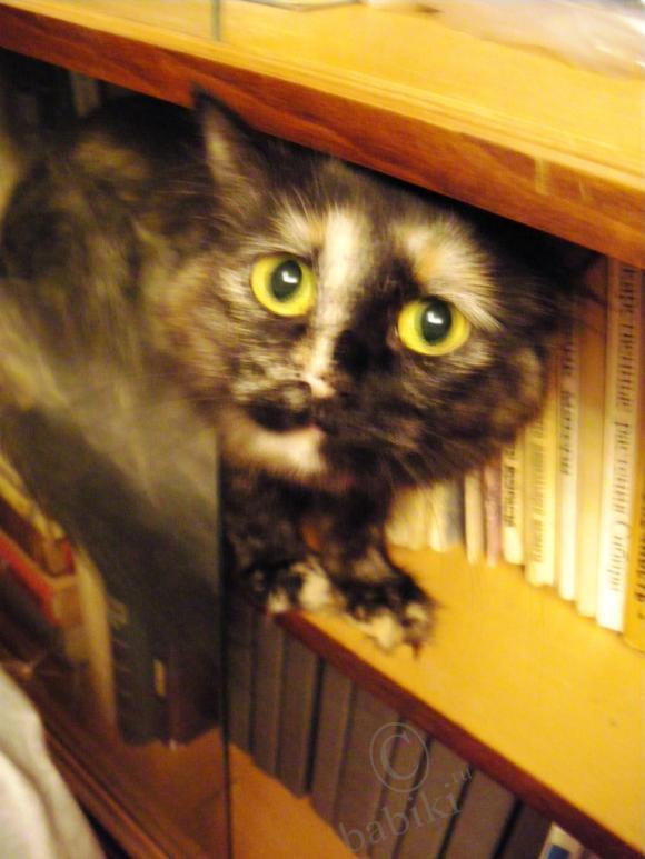 Где находится НОФЕЛЕТ? Часть первая. Кулинарное путешествие Айбулата в Уфу