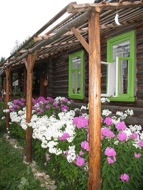 Приглашаю всех в гости ко мне на дачу (фото 5)