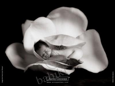 Немного об Анне Геддес и ее куклах. Anne Geddes dolls (фото 9)