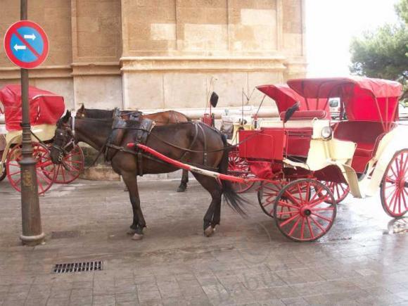 Пять часов в Пальма-де-Майорка