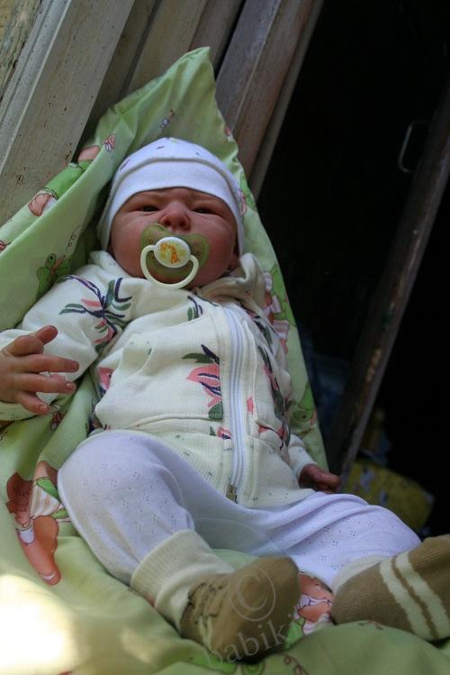 Один осенний день из жизни Арсения