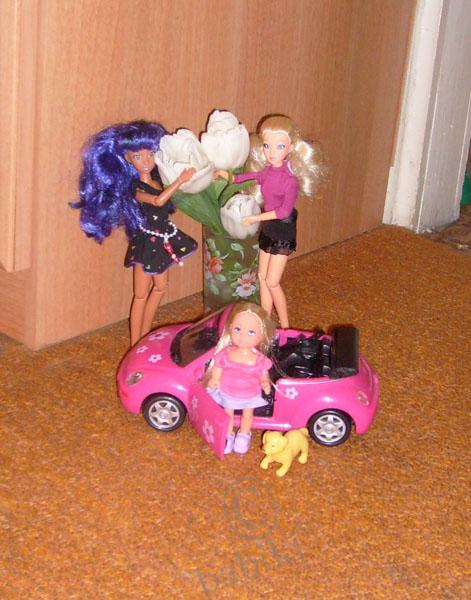 Мои малявочки - куколки SIMBA - Evi и Steffi