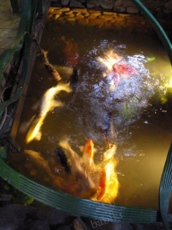 Где находится НОФЕЛЕТ? Часть первая. Кулинарное путешествие Айбулата в Уфу