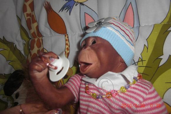 Новые фото! Мой юбилейный реборнчик - Обезьянка Читочка (фото 5)