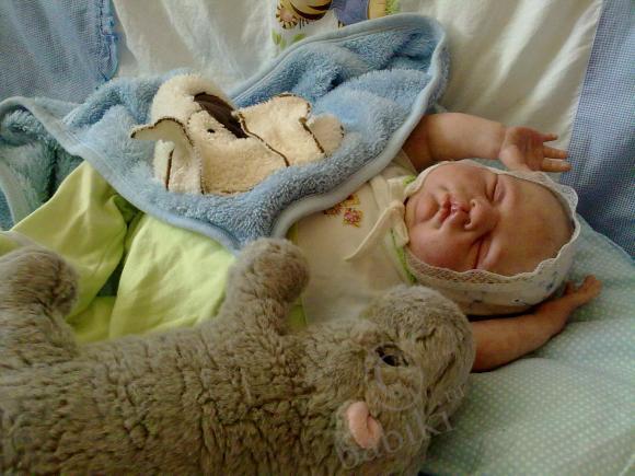 Отдохнувшие после долгого путешествия, решили пофотографироваться (фото 10)