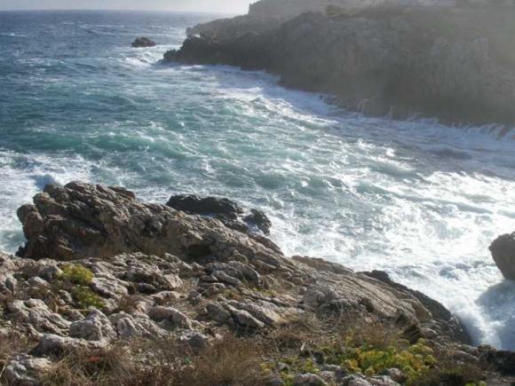 Еще раз о Майорке — Туризм и путешествия: фотоотчеты из поездок