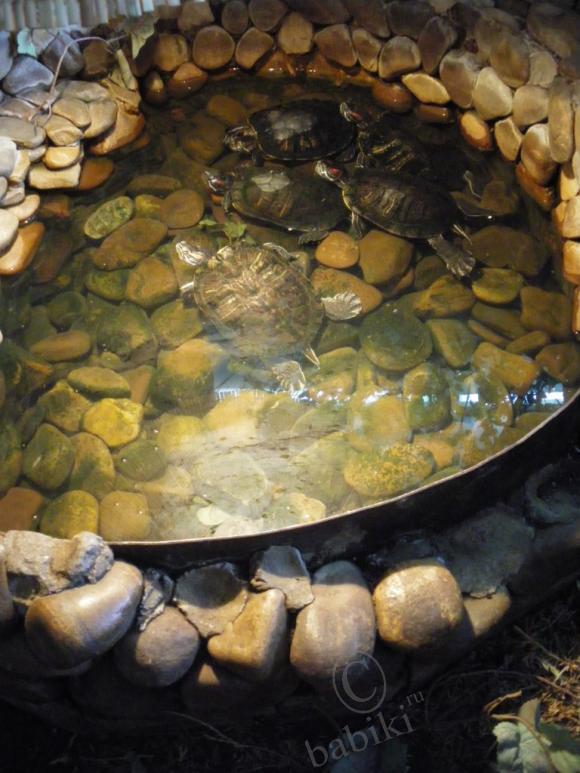 Где находится НОФЕЛЕТ? Часть первая. Кулинарное путешествие Айбулата в Уфу