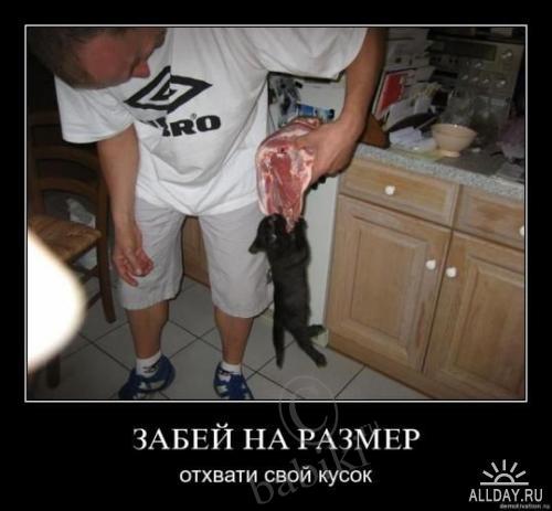 Позитифф!! Прибавила еще — Болталка и разговоры обо всем: жизнь