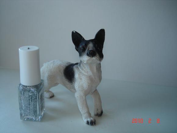 Вот такие собачки живут у меня дома (фото 7)