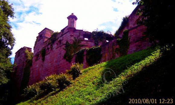 Замок в Хайдельберге. Фотозарисовки (фото 7)