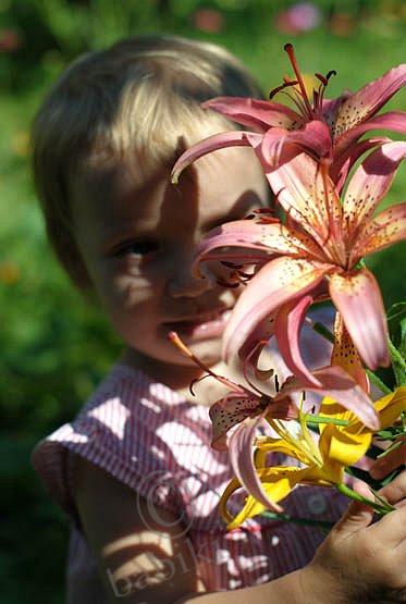 Тапки "Пиономания" — Другие хобби и увлечения: сад (фото 6)