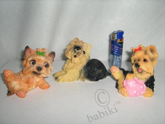 Вот такие крошки-собачки живут у меня (фото 3)