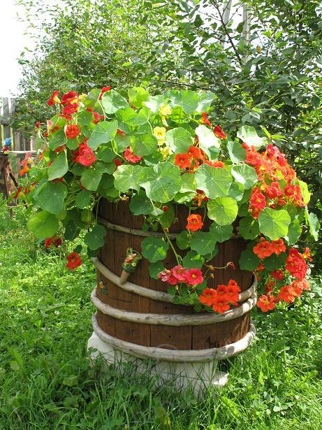 Миллионы, миллионы, миллионы алых роз (фото 3)