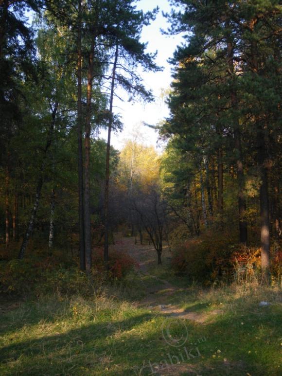 Венечка – скалолаз, или Бабье лето в Екб (фото 7)