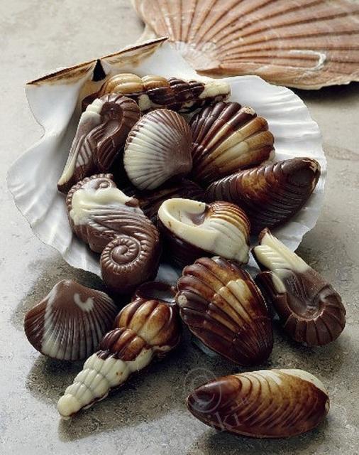 Шоколад Seashells