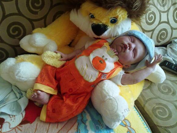 Отдохнувшие после долгого путешествия, решили пофотографироваться (фото 6)