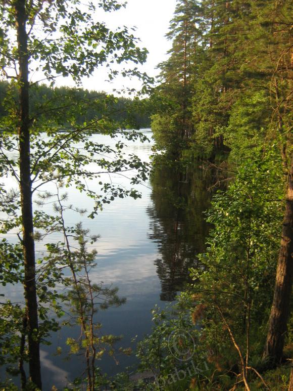 И снова мы и наши пейзажи (мои малыши реборн ) | Бэйбики И снова мы и наши пейзажи (мои малыши реборн )