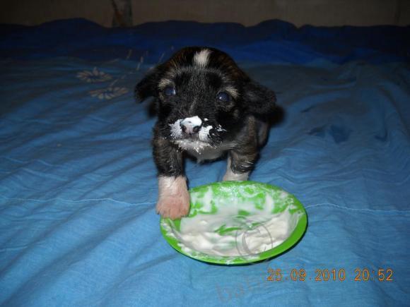 Мой сладкий БейБик Кэсси — Болталка и разговоры обо всем: жизнь