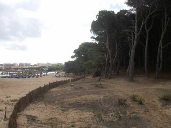 Еще раз о Майорке — Туризм и путешествия: фотоотчеты из поездок