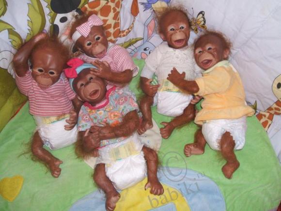 Обезьяномания :) Чита и компания (фото 3)