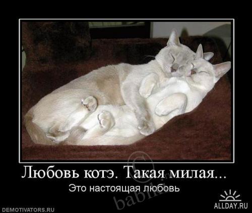 Позитифф!! Прибавила еще — Болталка и разговоры обо всем: жизнь