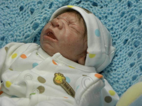 Некрасивый малыш — Интересное и необычное: фотоподборки (фото 5)