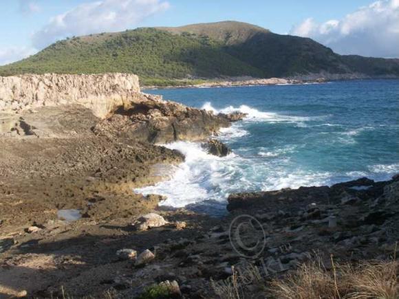 Еще раз о Майорке — Туризм и путешествия: фотоотчеты из поездок