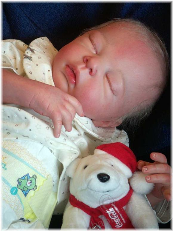 Кукла реборн из молда от Adrie Stoete-Schuiteman ALEXIA (фото 2)