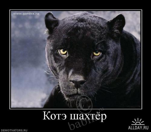 Позитифф!! Прибавила еще — Болталка и разговоры обо всем: жизнь