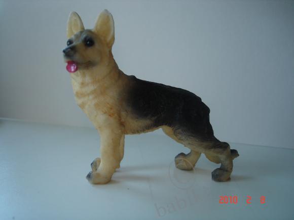 Вот такие собачки живут у меня дома (фото 9)