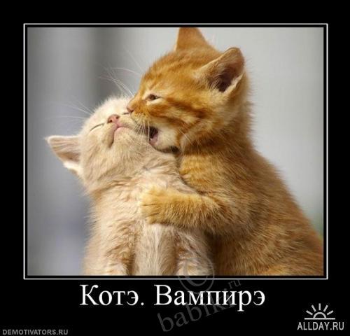 Позитифф!! Прибавила еще — Болталка и разговоры обо всем: жизнь