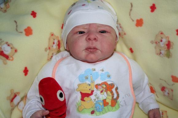 Один осенний день из жизни Арсения (фото 8)