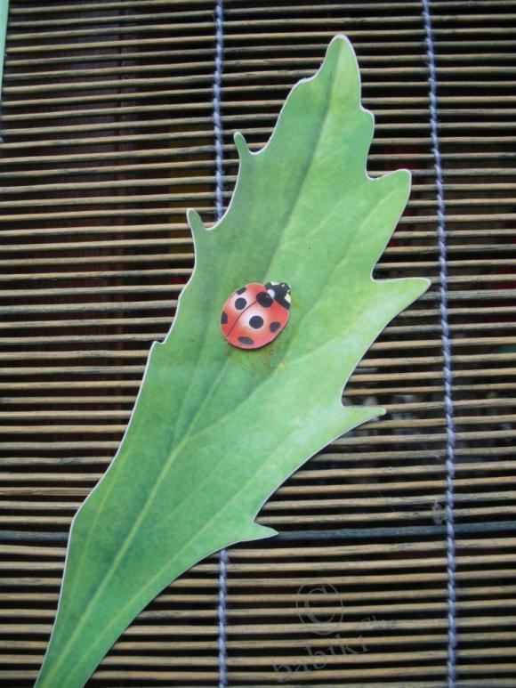 Где находится НОФЕЛЕТ? Часть первая. Кулинарное путешествие Айбулата в Уфу