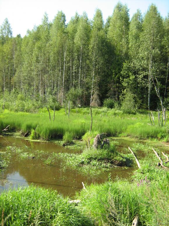 Путешествие в прошлое и наша Веронька (фото 8)