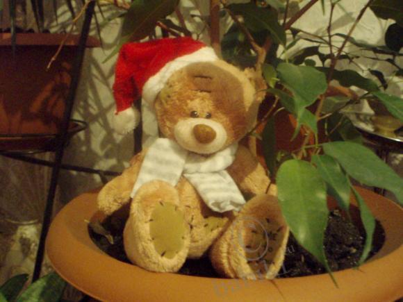 Это мои МИШУТКИ — Плюшевые мишки и игрушки (Teddy Bear): винтаж