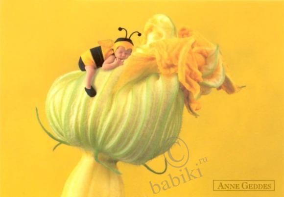 Anne Geddes, Анна Гедес - фото, открытки с детьми (фото 5)