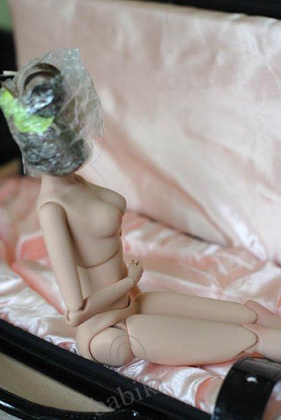 Сибарит Маверик - моя первая Сиба (фото 5)