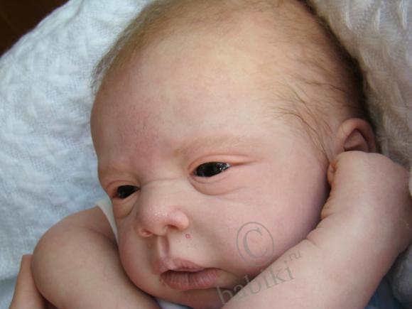 Мои куклы реборн и я (детская Елены Киприяновой) (фото 4)