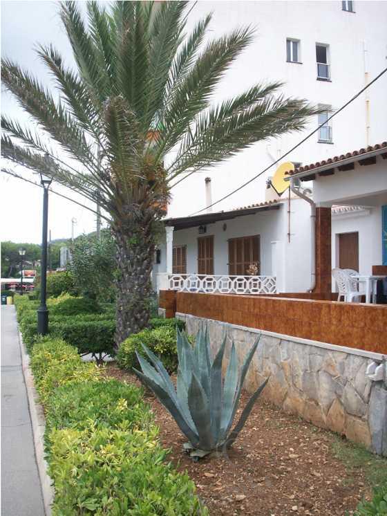 Еще раз о Майорке — Туризм и путешествия: фотоотчеты из поездок