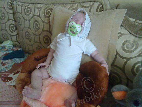 Отдохнувшие после долгого путешествия, решили пофотографироваться (фото 7)