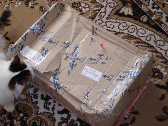 Крик души 2 - кукла реборн (фото 2)