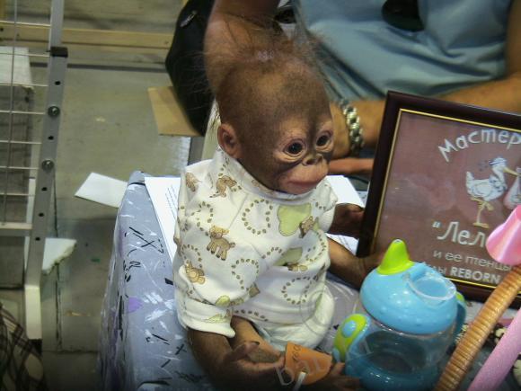 Межрегиональная выставка-ярмарка "Золотые ручки - 2010" | Бэйбики Межрегиональная выставка-ярмарка "Золотые ручки - 2010"