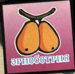 Детские кубики — Болталка и разговоры обо всем: жизнь (фото 4)