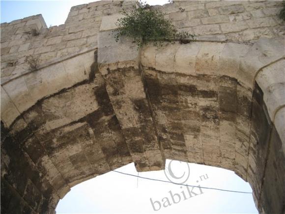 Путешествие в Иерусалим — Туризм и путешествия: фотоотчеты из поездок (фото 2)