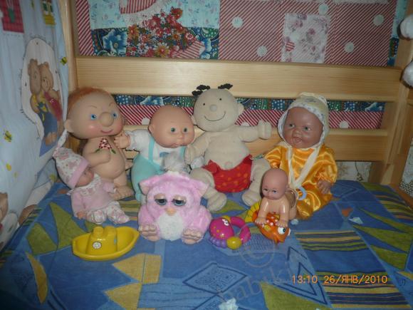 Мои любимцы — Коллекции игровых кукол (Playline): фото полок (фото 4)