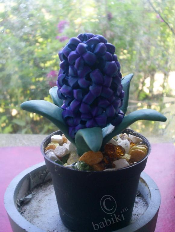 Цветочки из всего подряд — Другие хобби и увлечения: сад (фото 5)