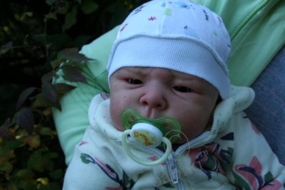 Один осенний день из жизни Арсения