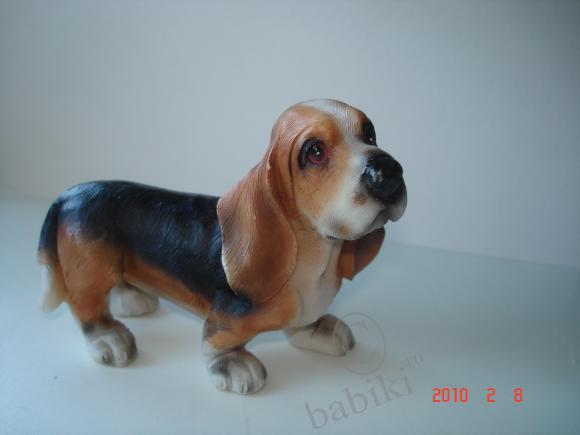 Вот такие собачки живут у меня дома (фото 6)